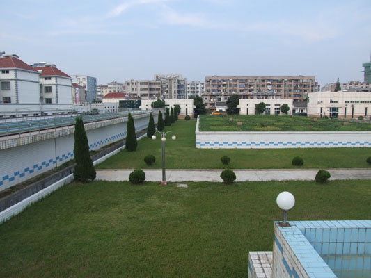 彩娱乐